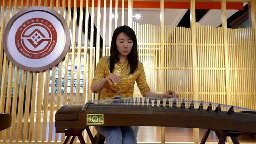 旅游志愿服務(wù)全面升級 景上添花的旅游信息咨詢